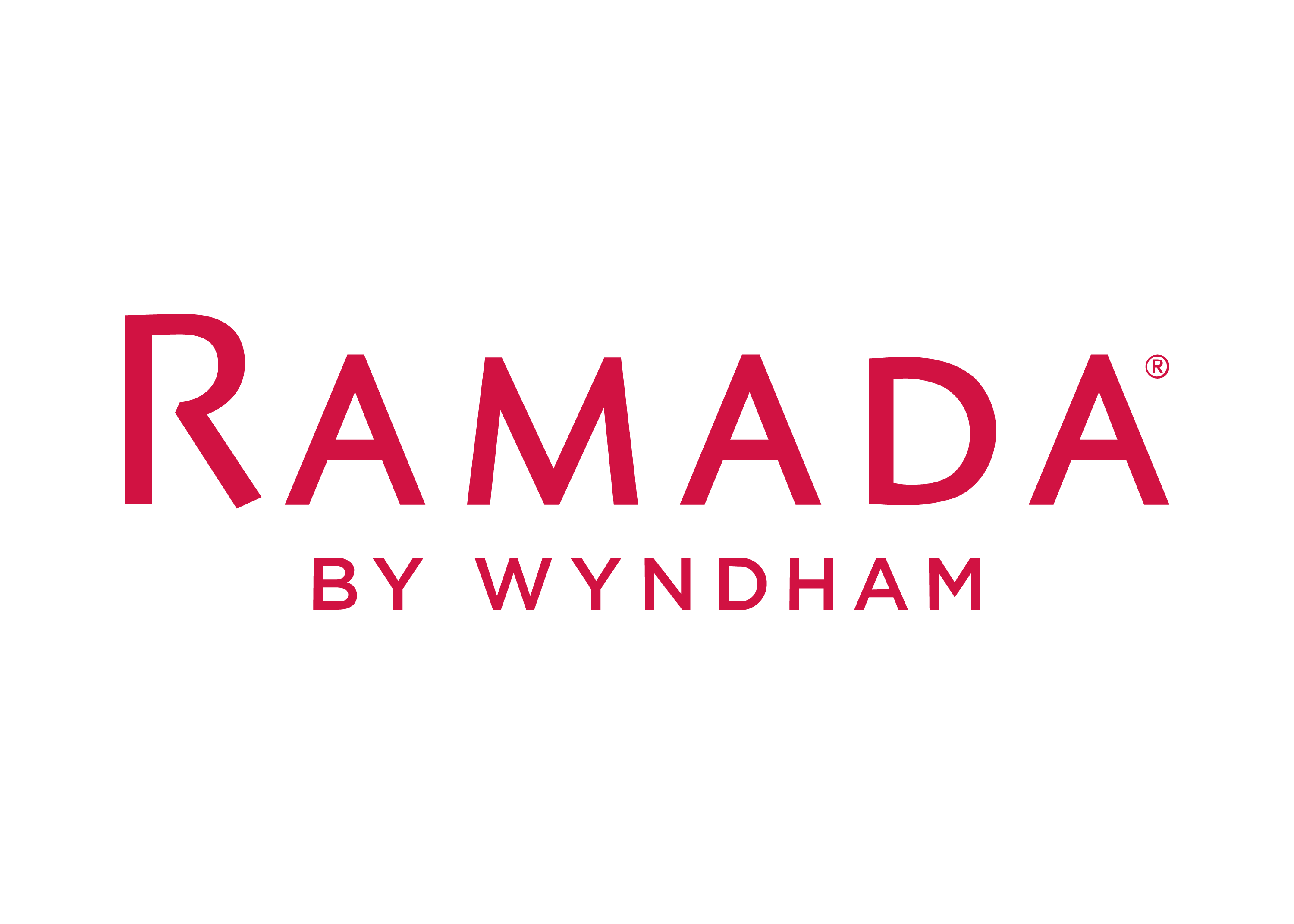 Partner logosu